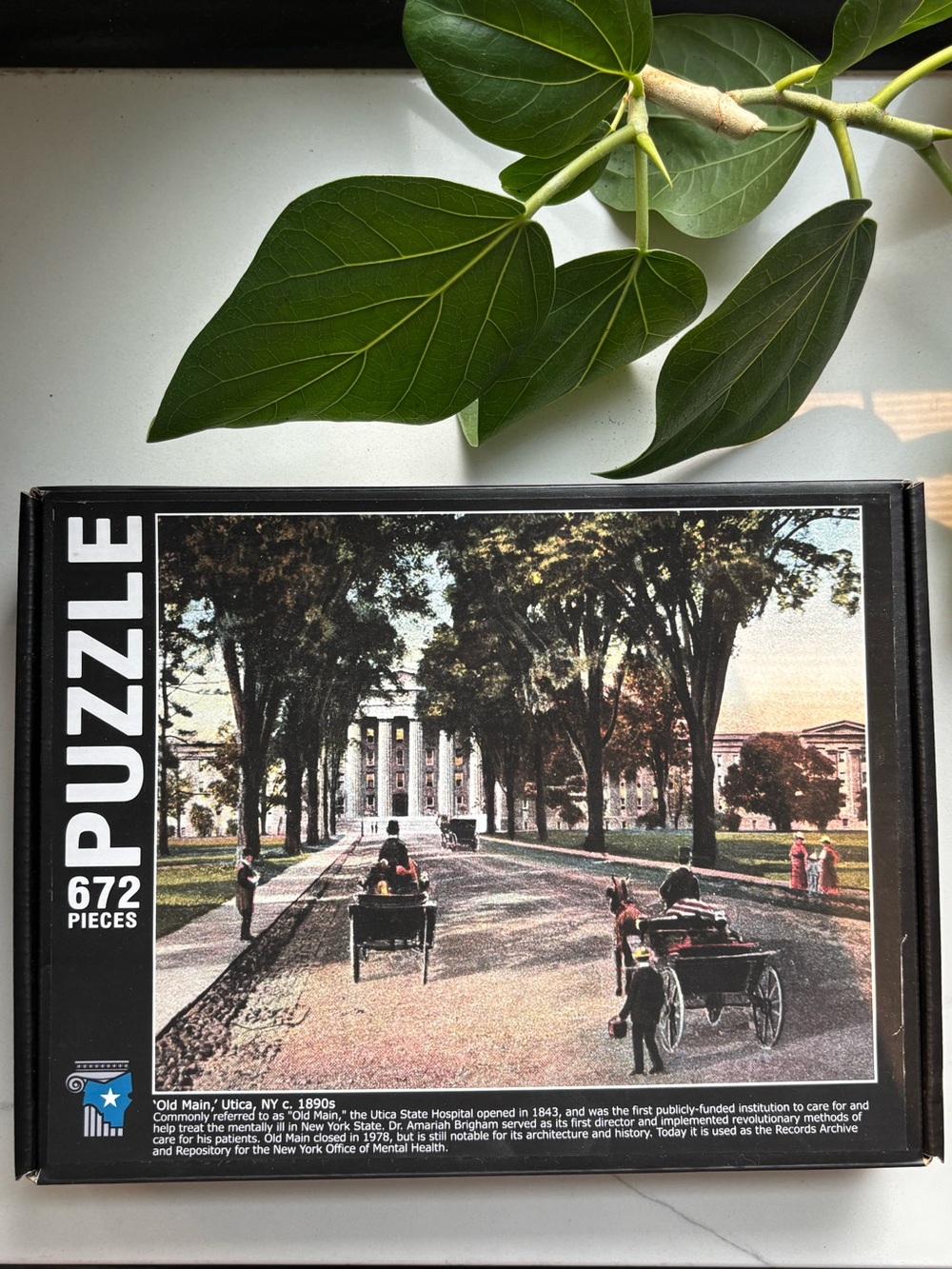 672-Piece Puzzle | Oneida County History Center | `Old Main’ | Utica, NY